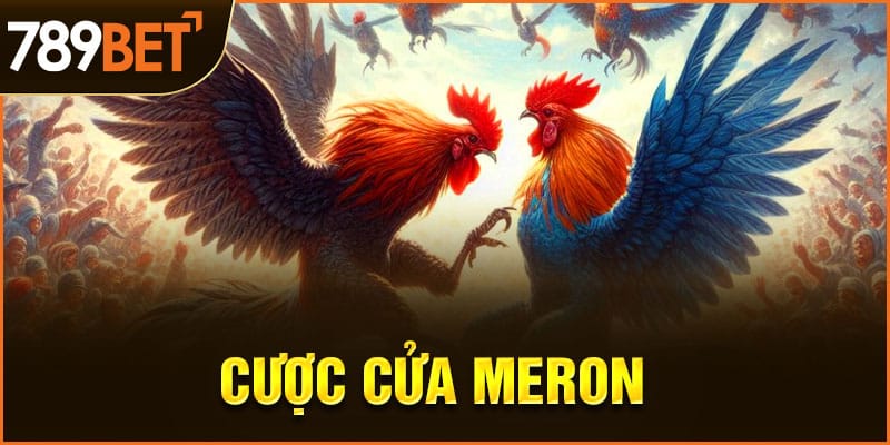 Cược cửa Meron